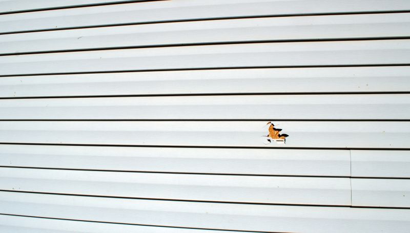 Matching Vinyl Siding Panels