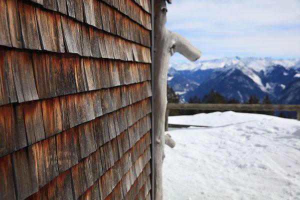 Cedar Siding Repair in Albuquerque