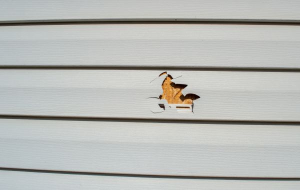 Siding Hole Repair in Albuquerque